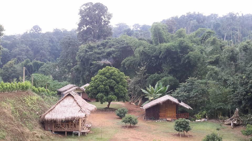 Doo-Dao-Doi Farm & Stay Chiang Dao Exterior photo