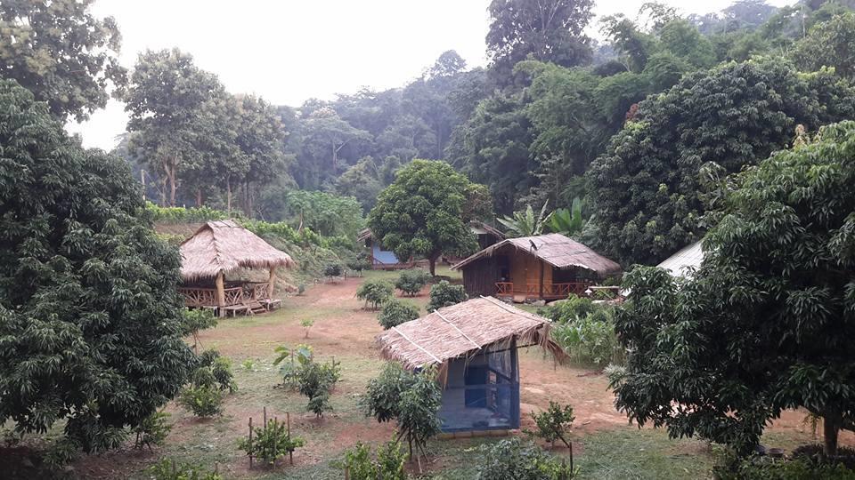 Doo-Dao-Doi Farm & Stay Chiang Dao Exterior photo
