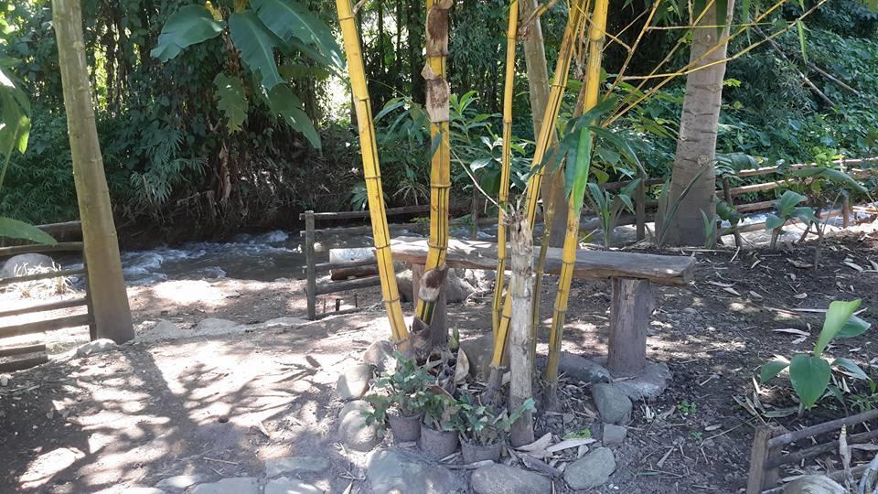 Doo-Dao-Doi Farm & Stay Chiang Dao Exterior photo