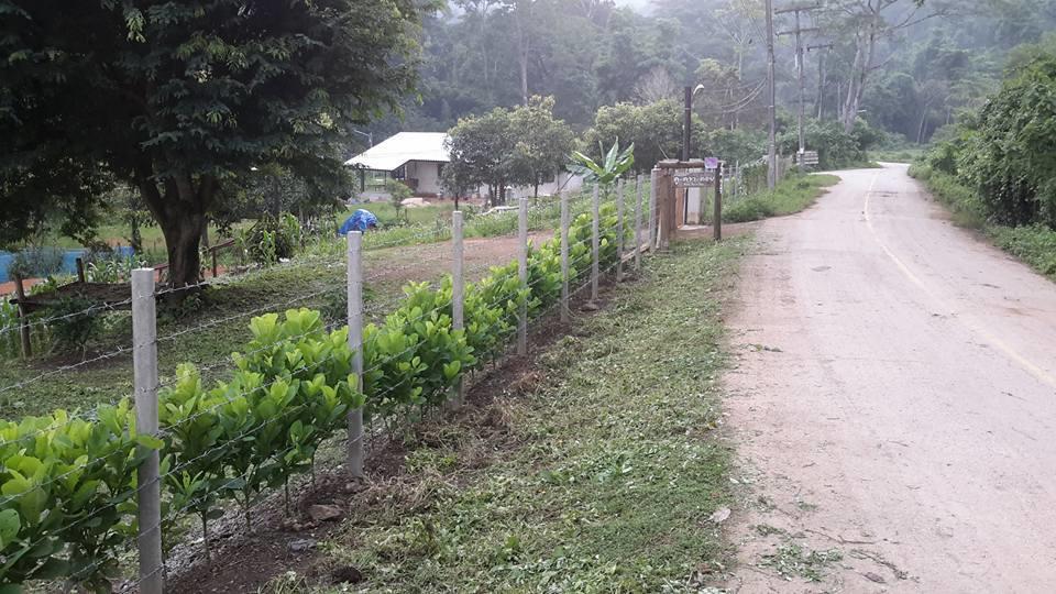 Doo-Dao-Doi Farm & Stay Chiang Dao Exterior photo